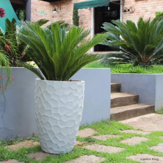 plantas para jardim externo