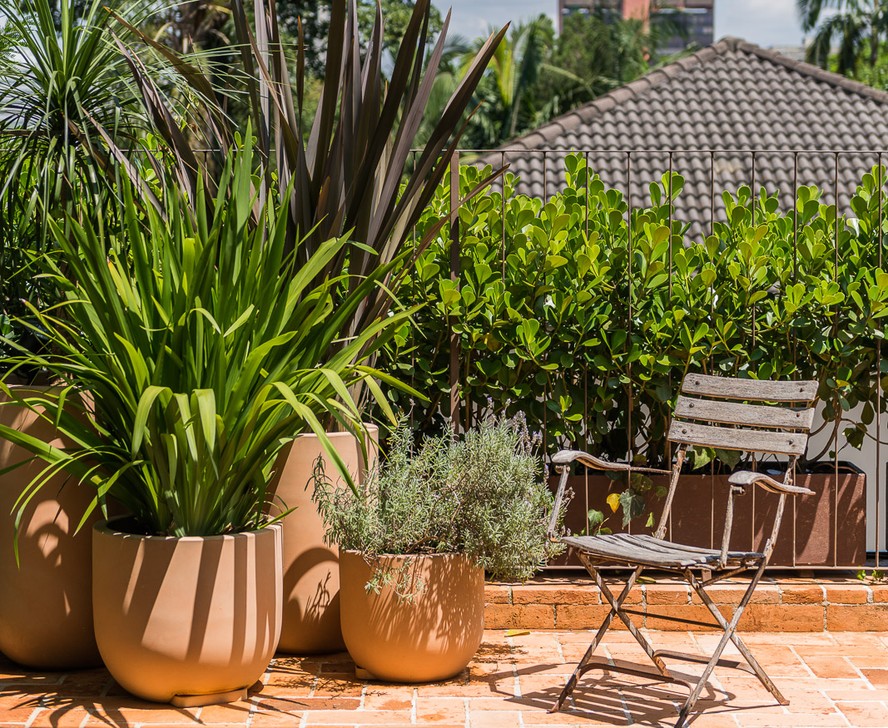 plantas que florescem o ano inteiro