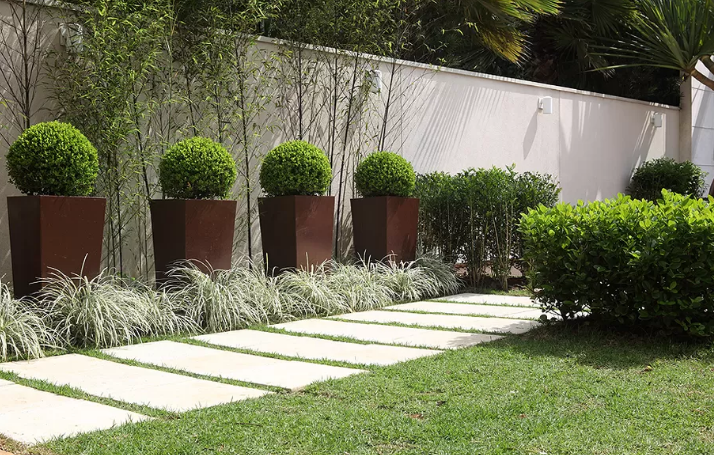 plantas que precisam de pouca água