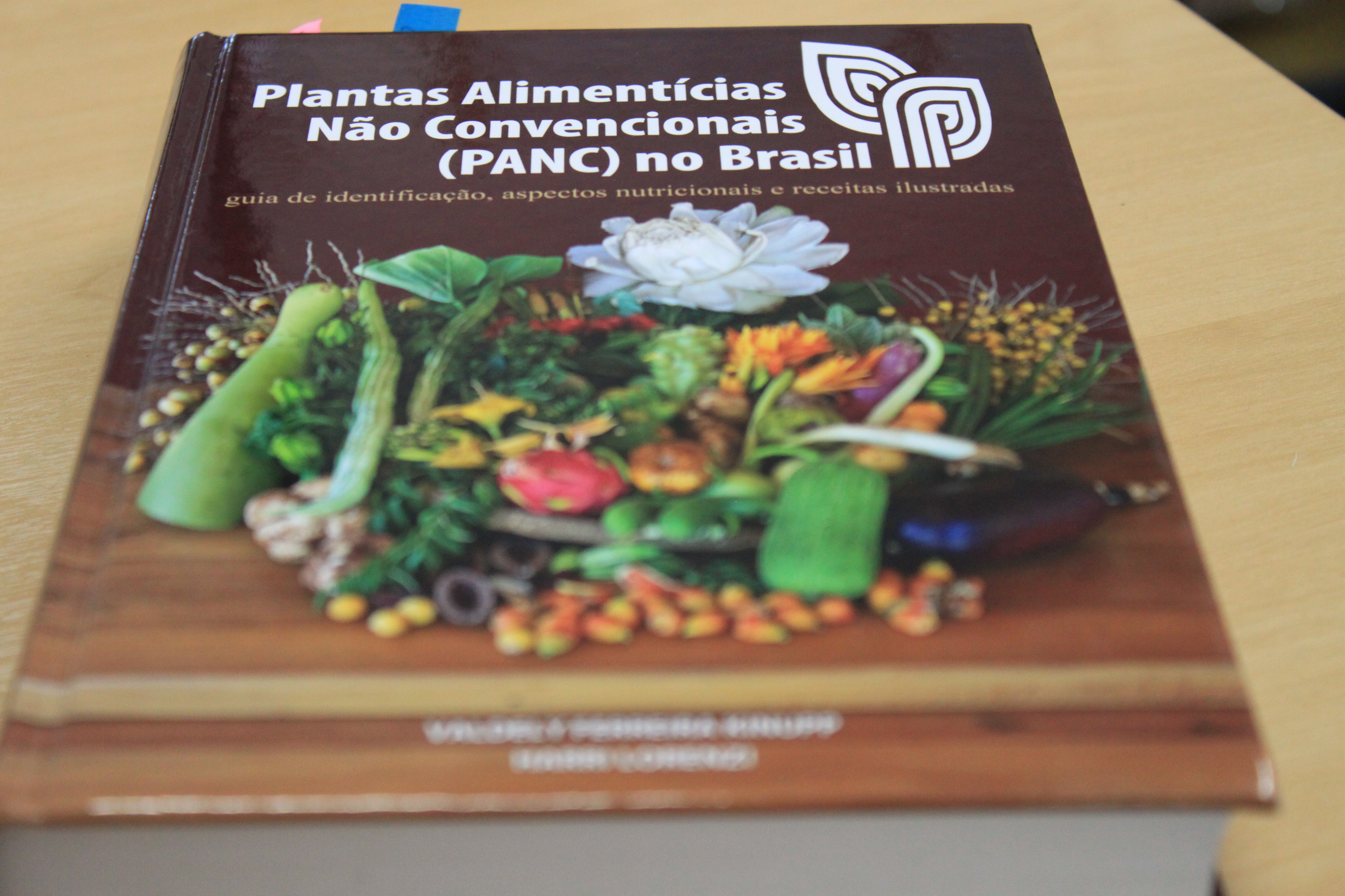 Guia Completo de Cultivo de Taioba em Casa