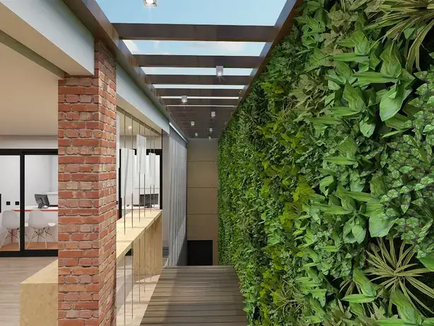 Transforme Sua Sala: Ideias de Decoração com Plantas de Folhas Grandes