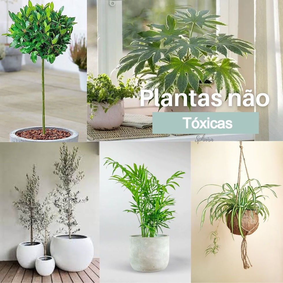 Como Criar um Jardim Suspenso Seguro para Crianças e Animais