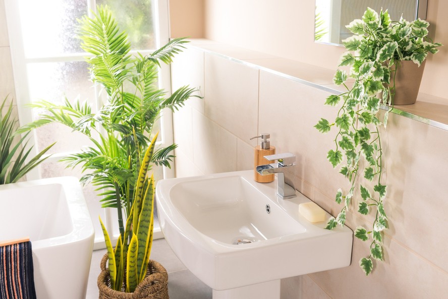 plantas para banheiro pequeno