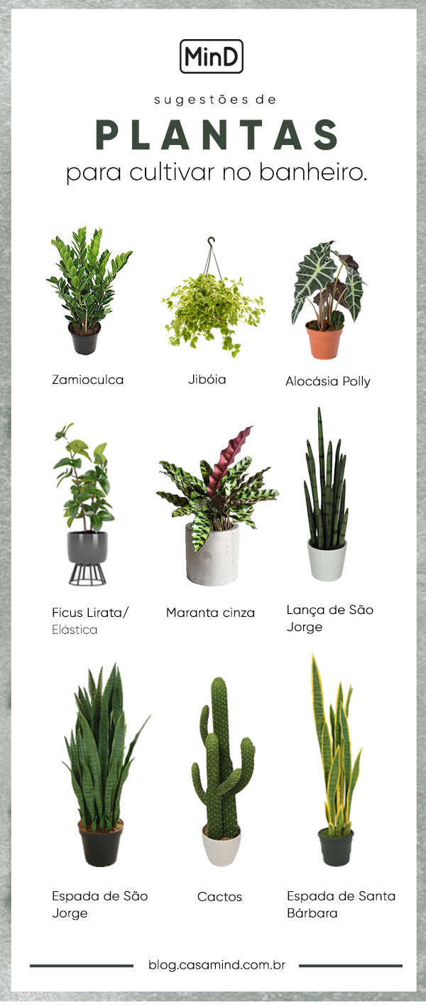 plantas para banheiro sem janela