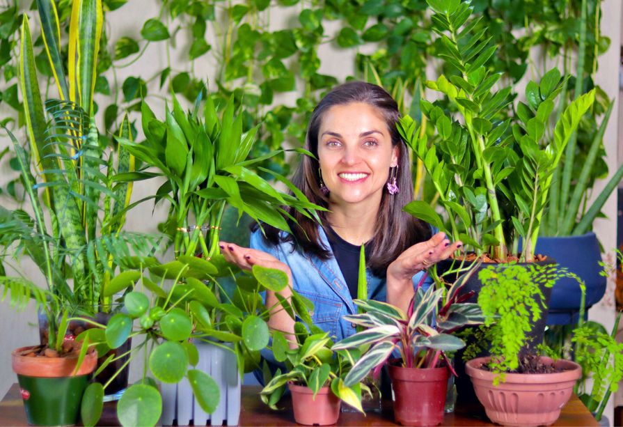 plantas que purificam o ar banheiro
