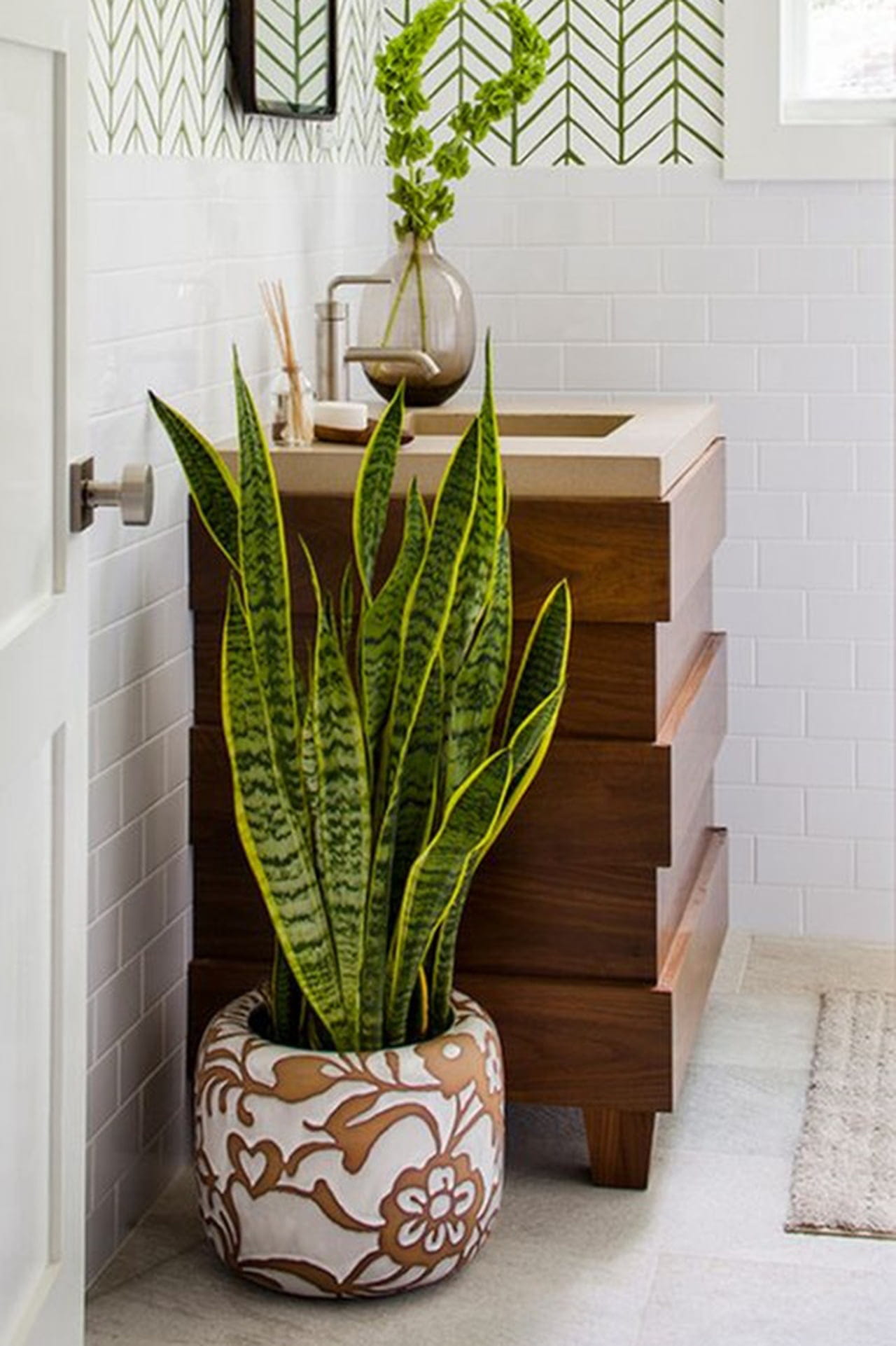 plantas que purificam o ar banheiro