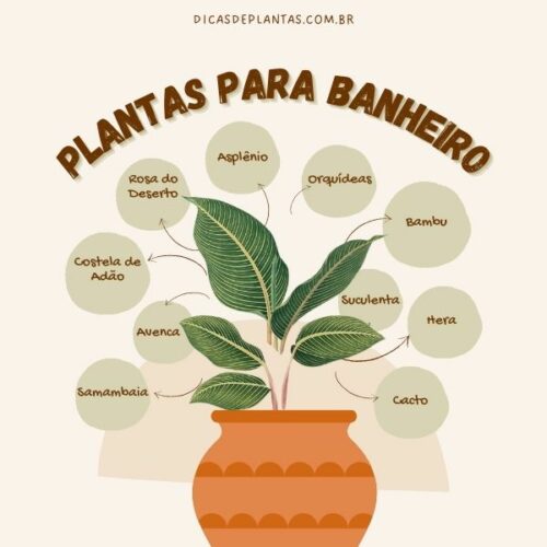 plantas que ajudam a prevenir mofo banheiro