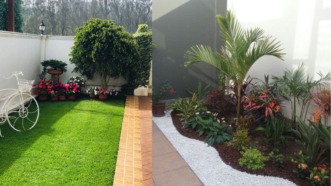 plantas com flores para canteiro de muro