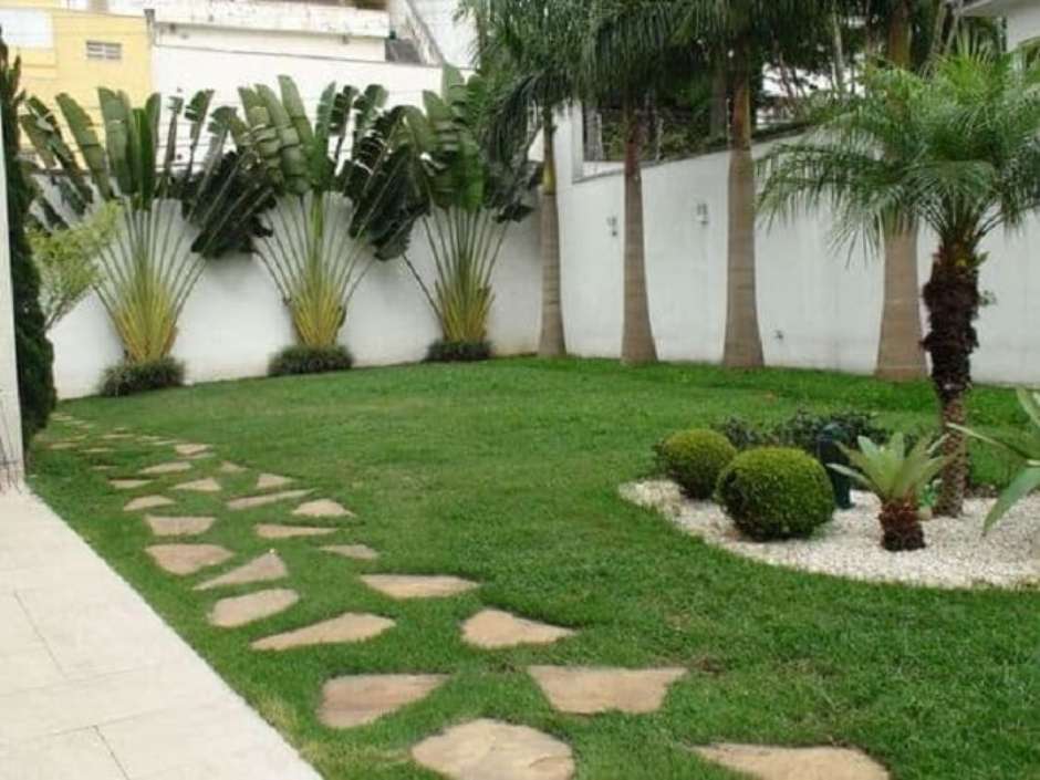 plantas resistentes para canteiro de muro