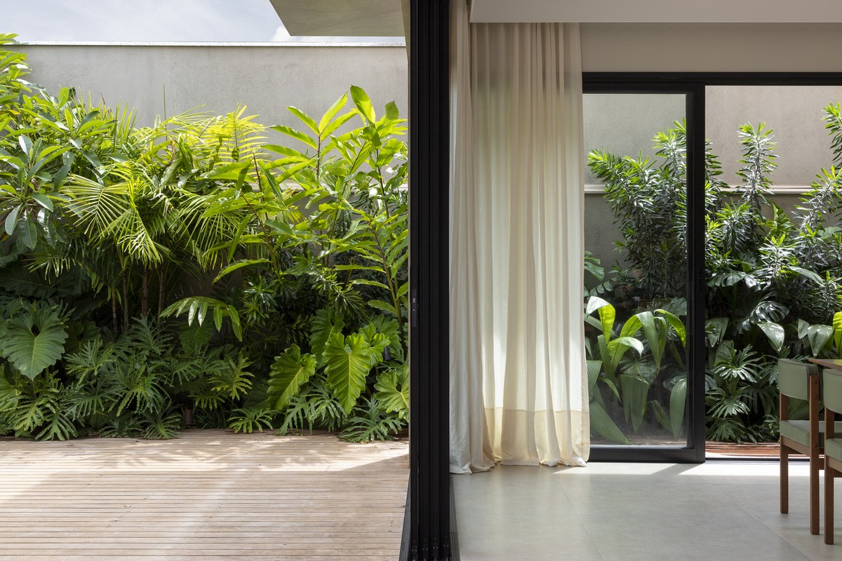 plantas tropicais para canteiro de muro