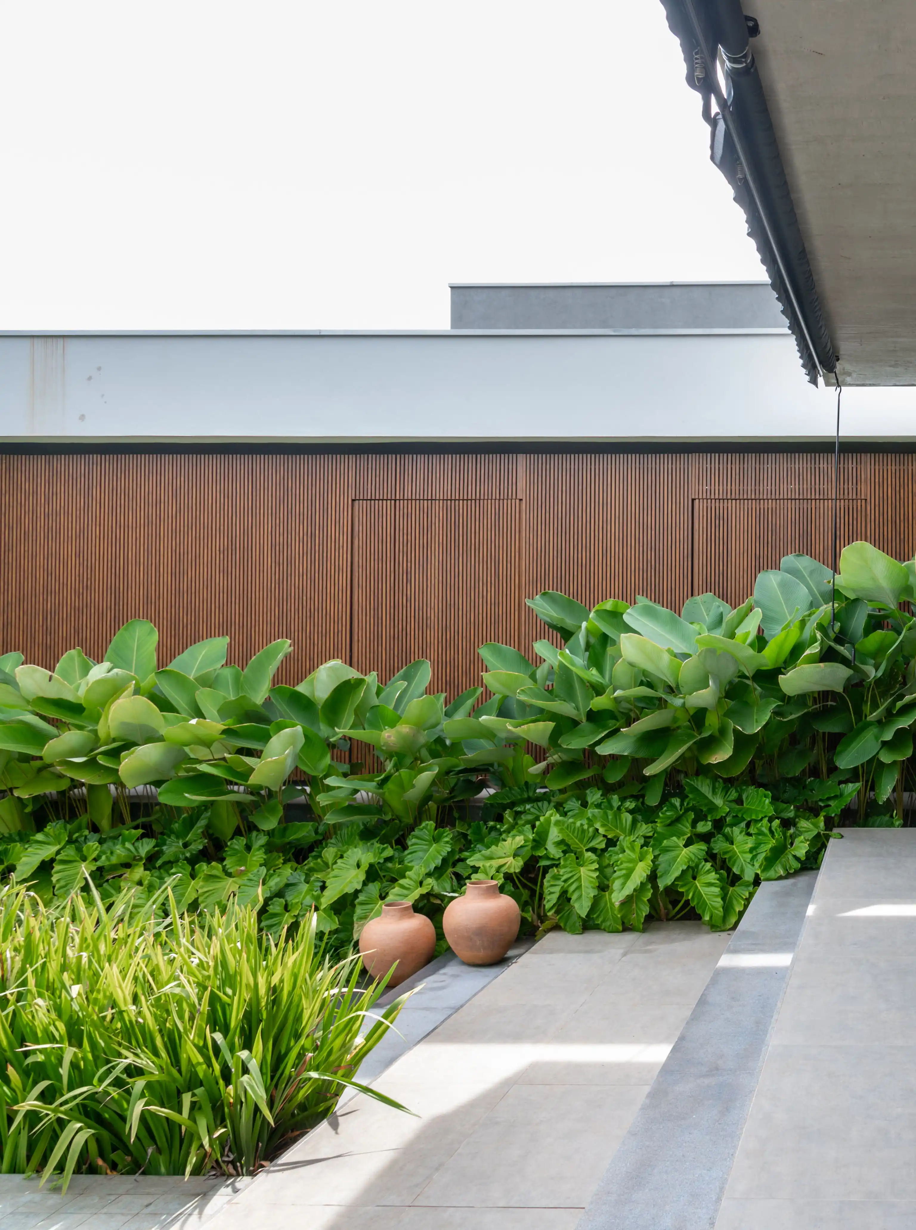 plantas de baixa manutenção para canteiro de muro