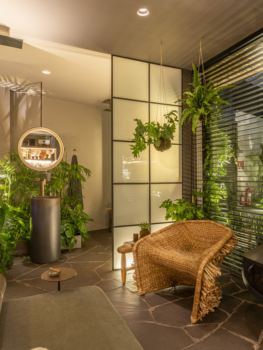 Guia completo de plantas para ambientes sem luz natural