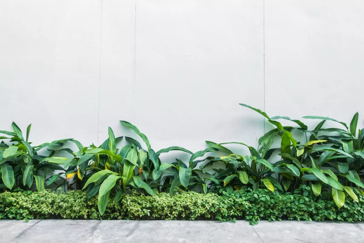 jardim para fachada moderna