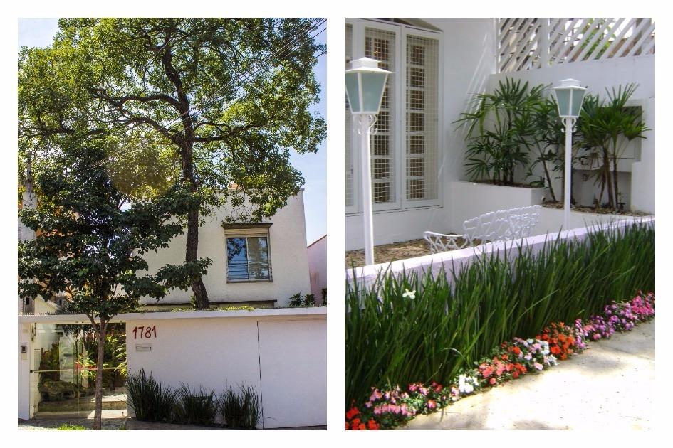 espécies de plantas para muros