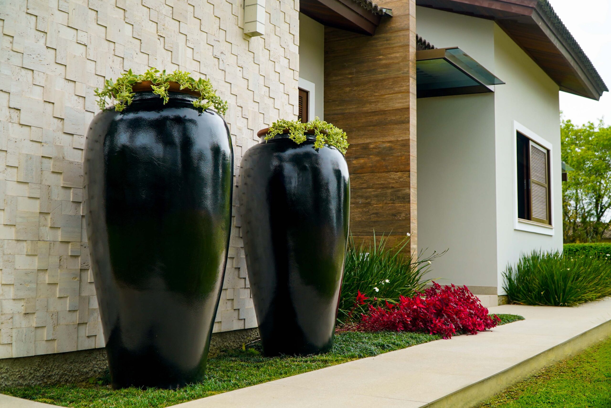 plantas resistentes ao sol para fachada