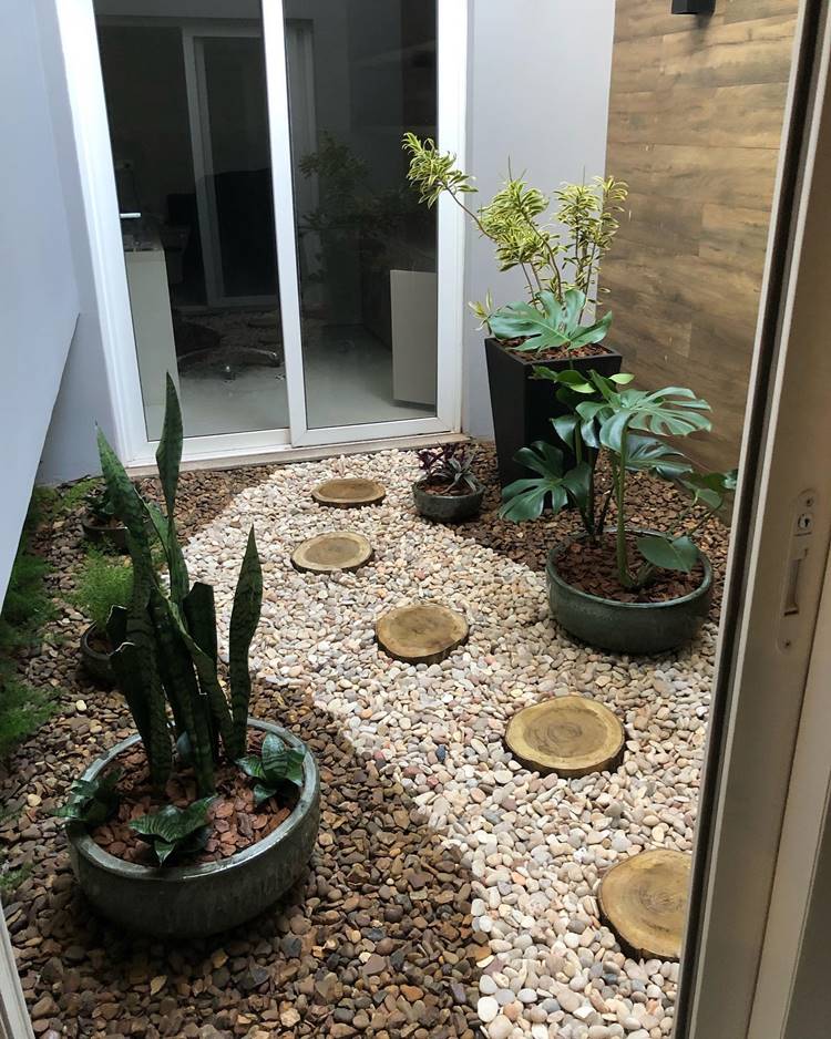 Guia completo de manutenção para plantas de jardim de inverno