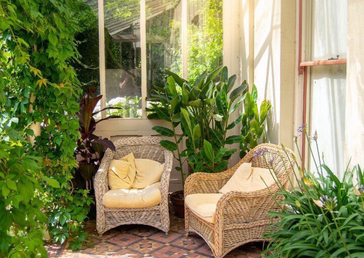 Guia Completo de Plantas de Baixa Manutenção para Jardins de Inverno