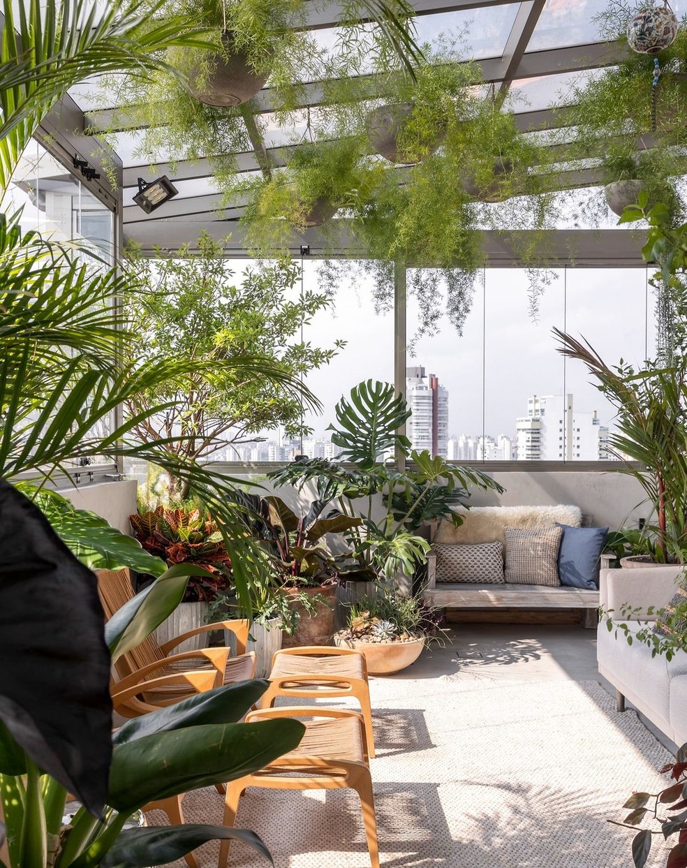 plantas para jardim de inverno com futon