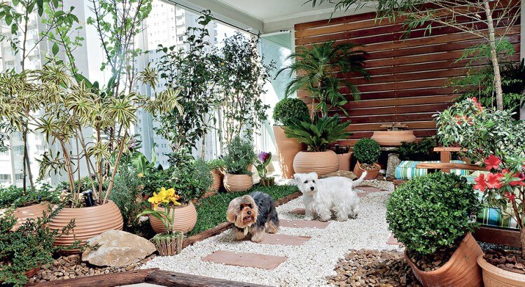 Guia Completo de Plantas de Baixa Manutenção para Jardins de Inverno