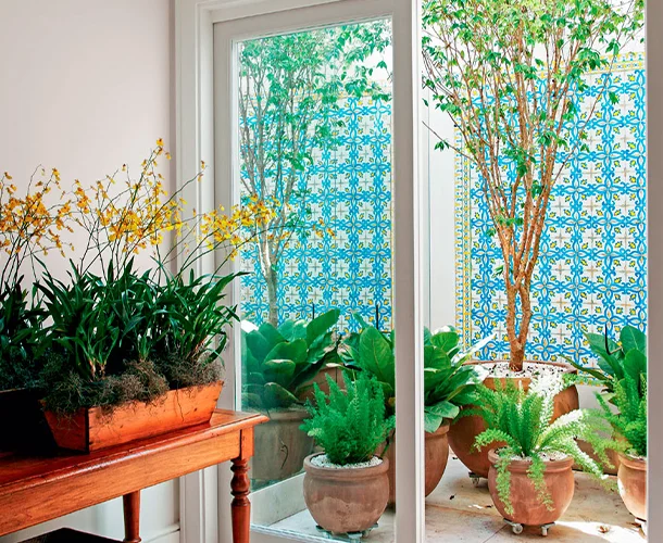 plantas para jardim de inverno com vidro