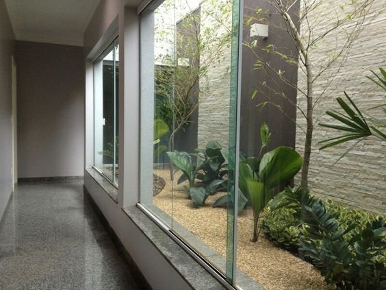 5 plantas fáceis de cuidar para iniciantes em jardins de inverno