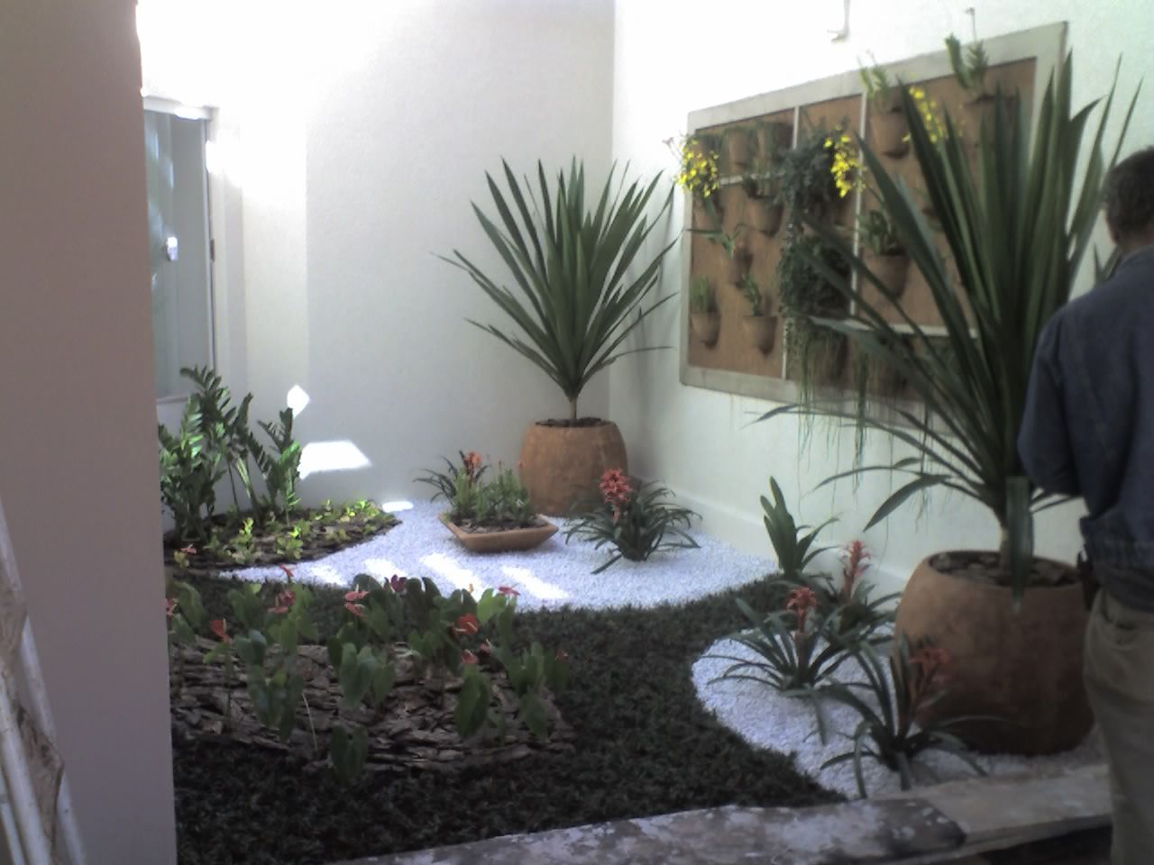 plantas para jardim de inverno com vidro