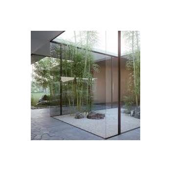 5 plantas fáceis de cuidar para iniciantes em jardins de inverno