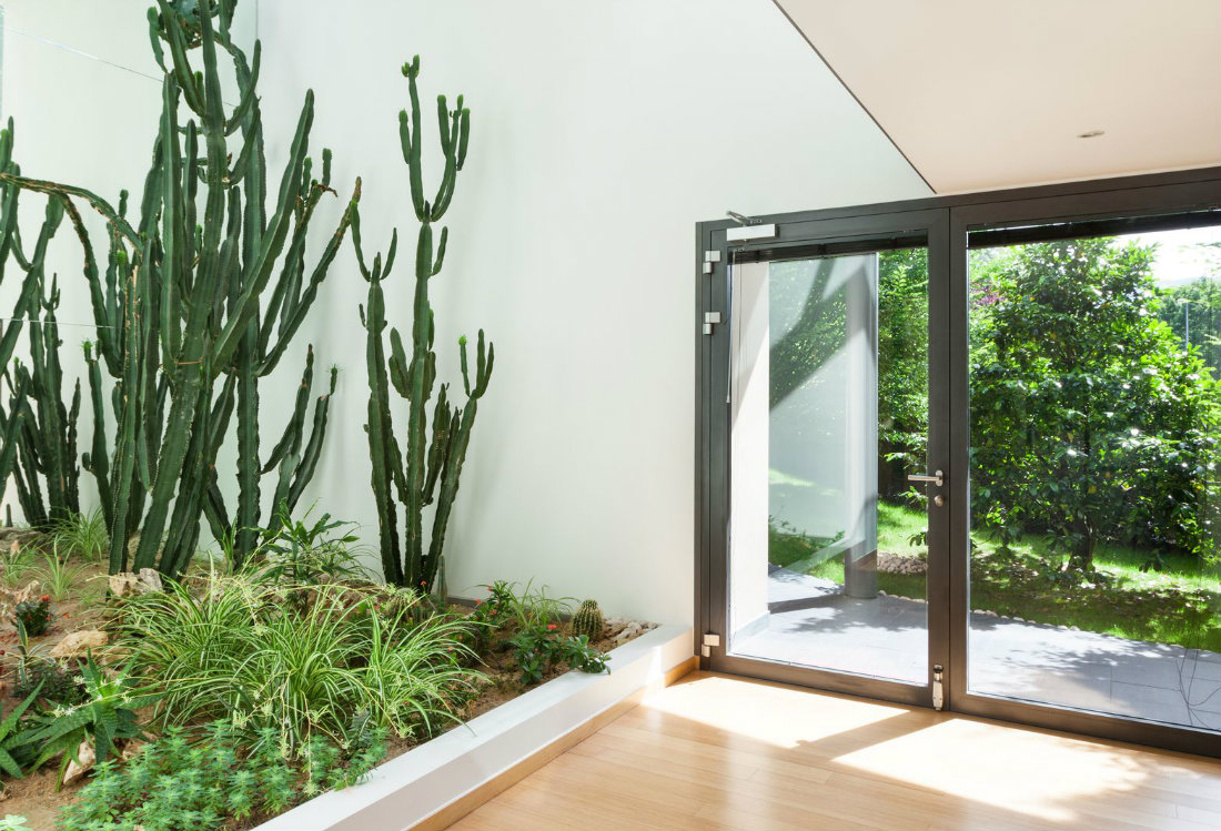 Como montar um terrário fechado para plantas