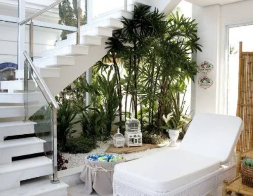 Guia Completo de Rega para Plantas de Interior com Pouca Luz