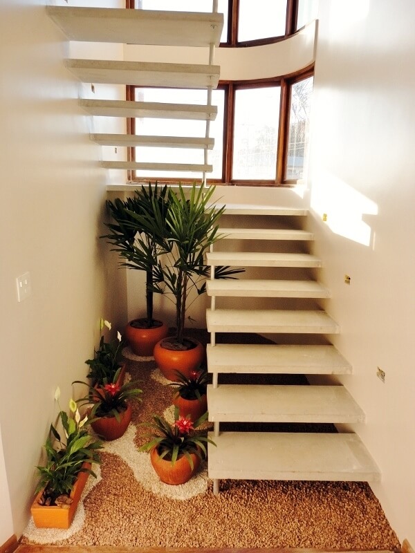 plantas para jardim de inverno debaixo da escada