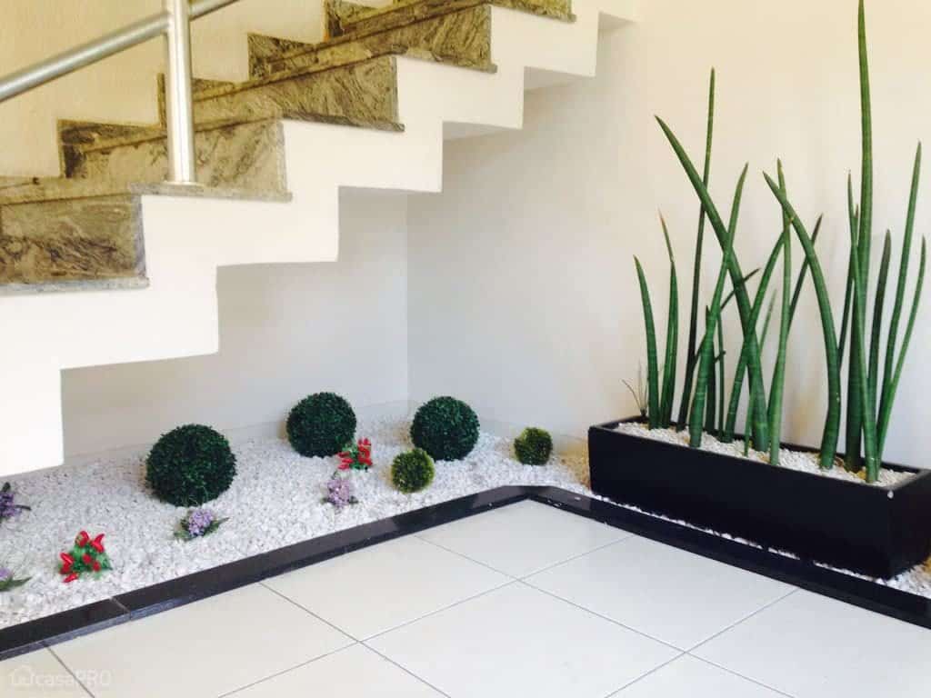 plantas para jardim de inverno debaixo da escada