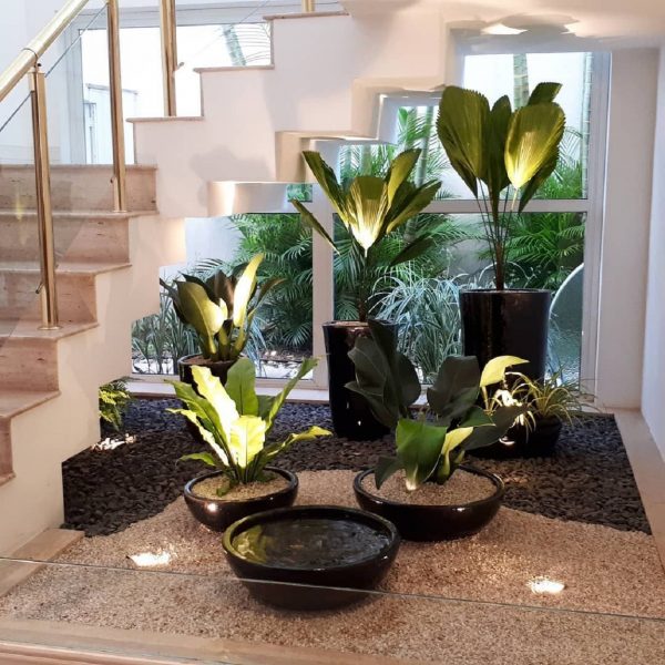 Como Escolher o Vaso Ideal para Plantas de Sombra