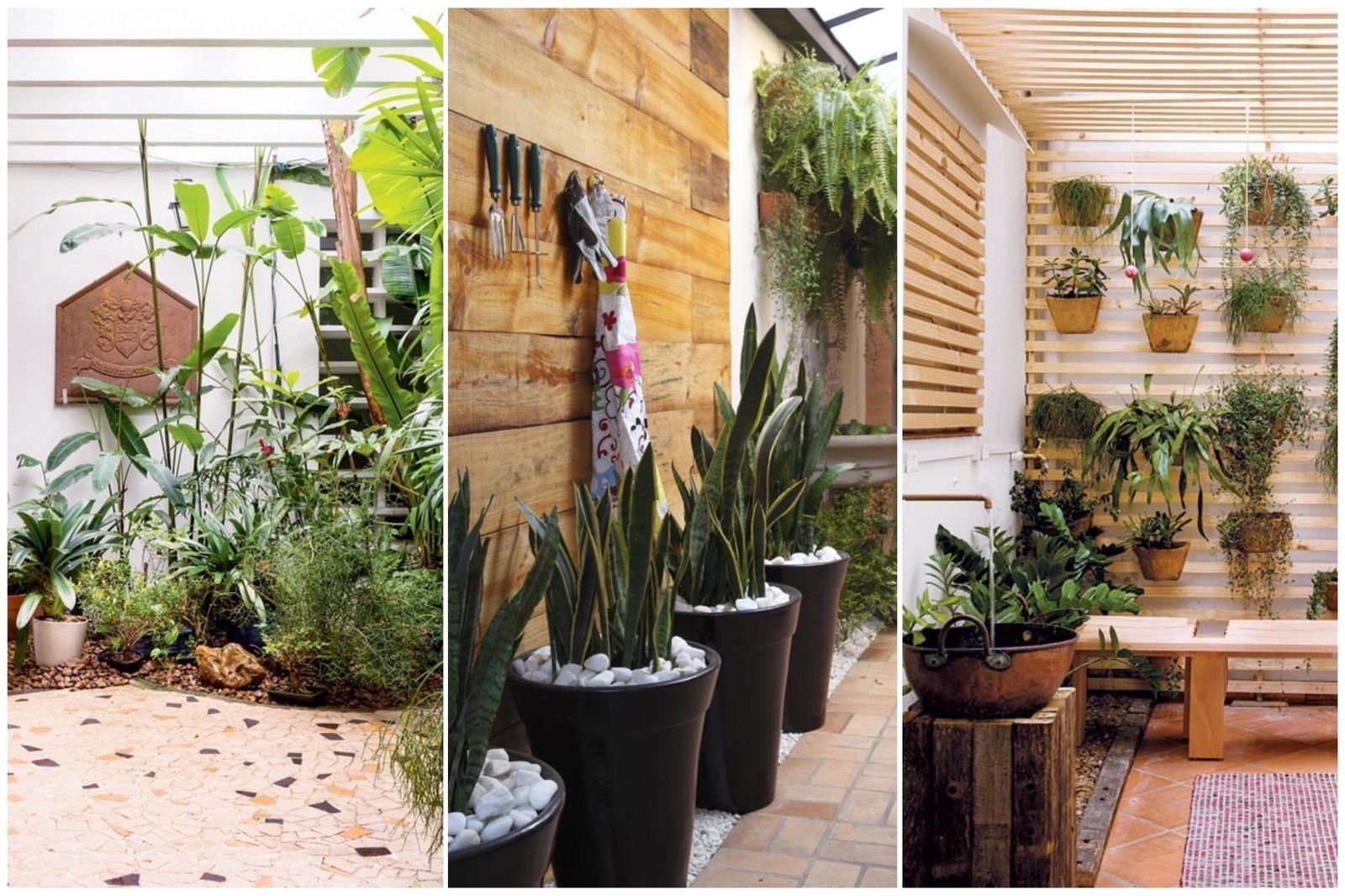 plantas para jardim de inverno em corredor