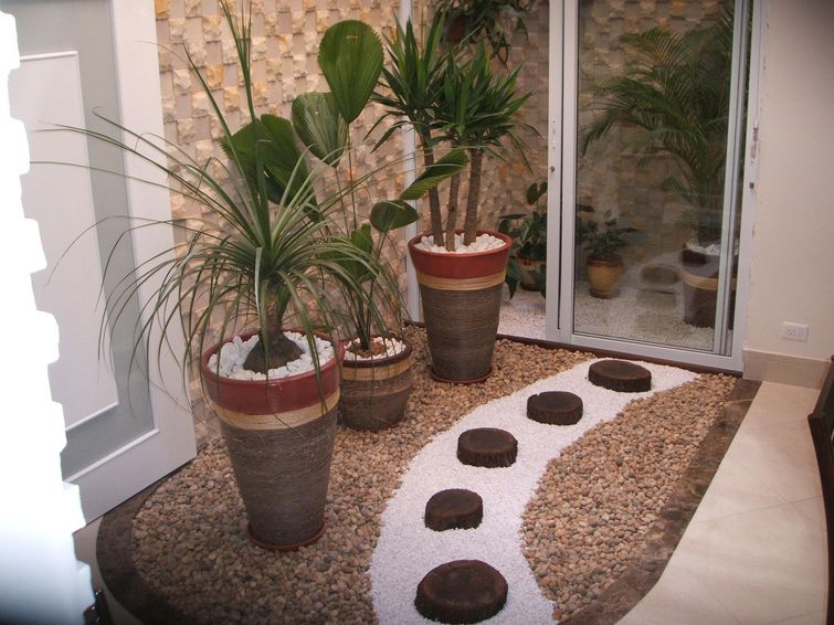 Manutenção Simplificada: Cuidados Essenciais para Suas Plantas de Corredor