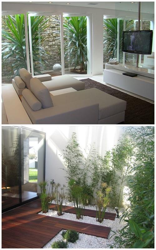 plantas para jardim de inverno em corredor