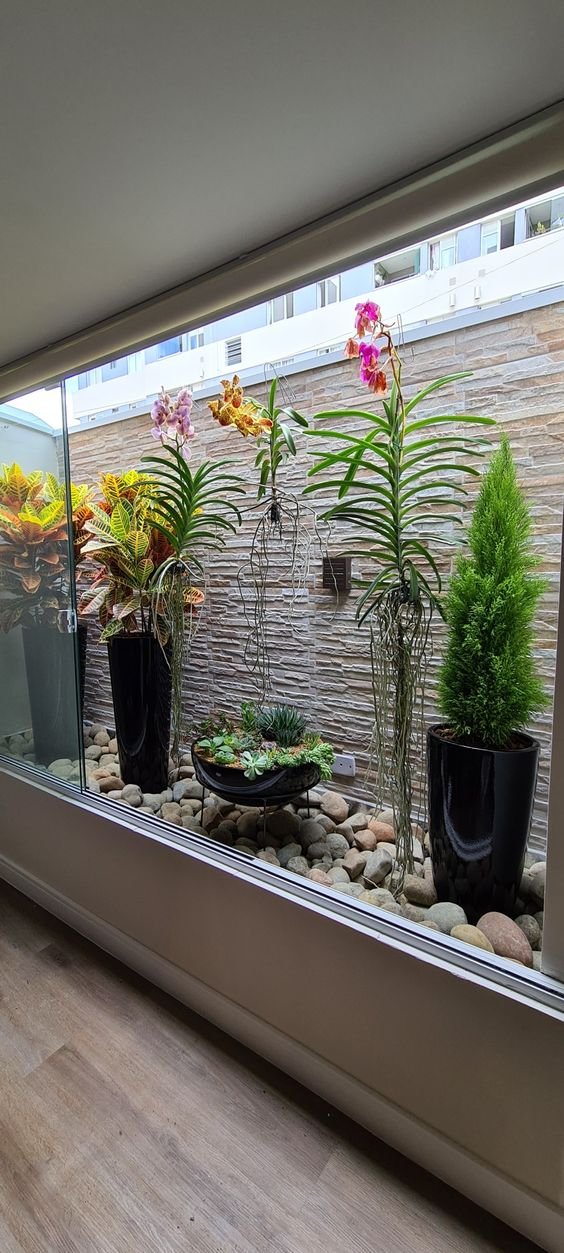 Como Escolher a Iluminação Ideal para Plantas em Corredores Escuros