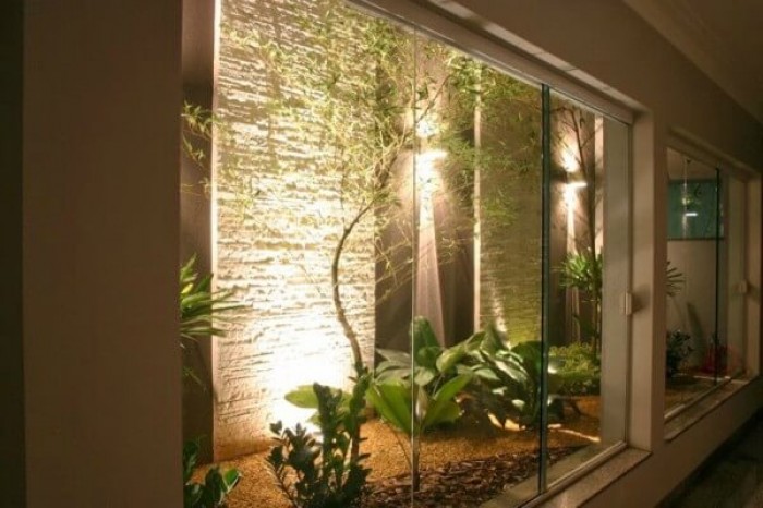 Como Escolher a Iluminação Ideal para Plantas em Corredores Escuros