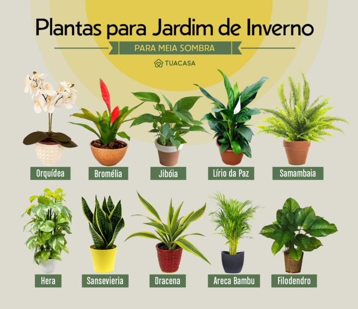 plantas para jardim de inverno na varanda