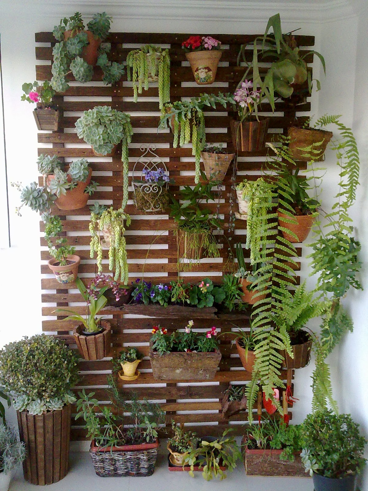 plantas para jardim de inverno na varanda
