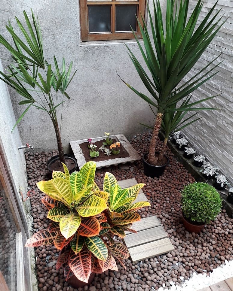 5 Plantas Ideais para Apartamentos Pequenos