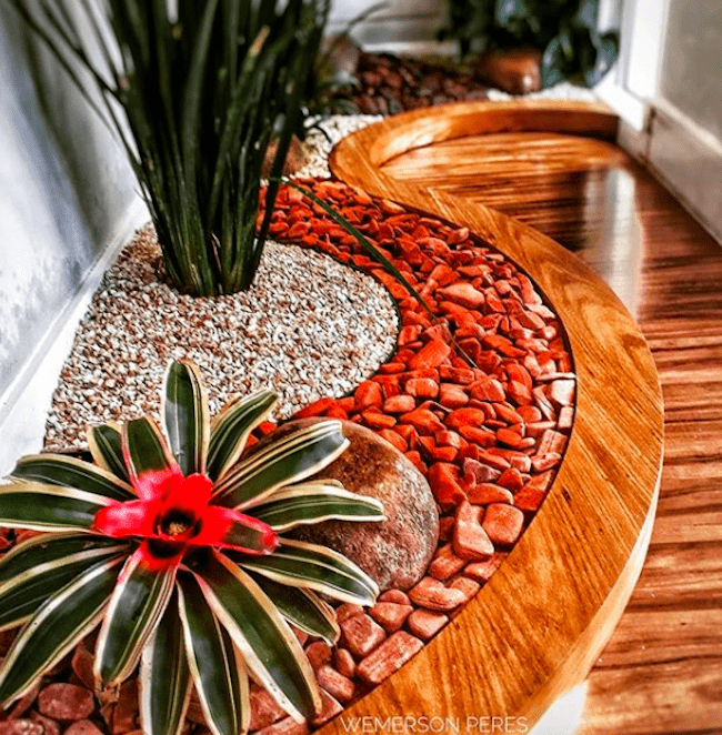 5 Plantas Ideais para Apartamentos Pequenos