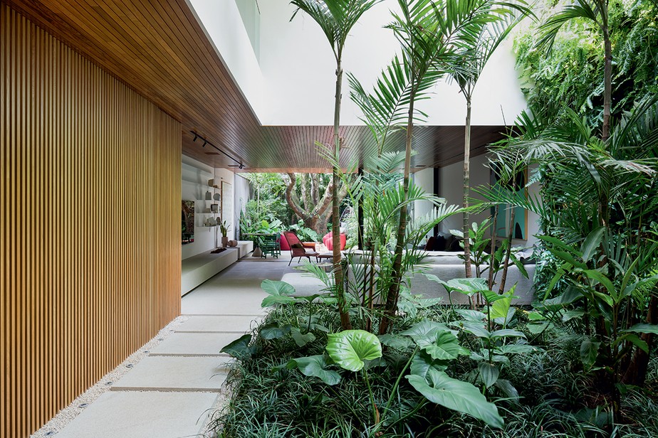 Como Criar um Jardim Vertical em Casa