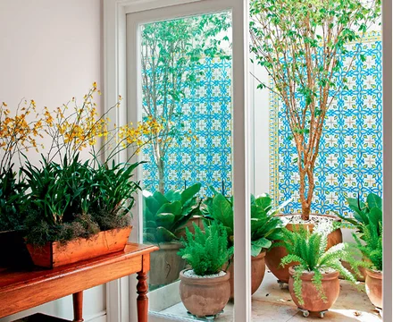 A Importância da Iluminação Correta para Plantas de Interior