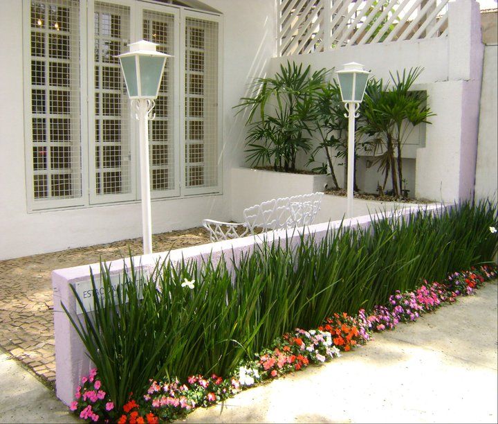 plantas para jardim externo com pouco sol