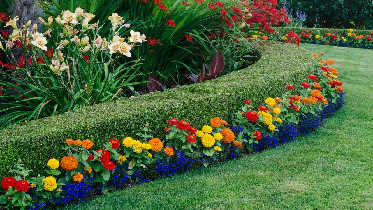 plantas para jardim externo pequeno