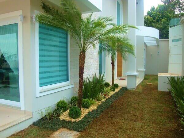 plantas para jardim externo que não precisam de muita água