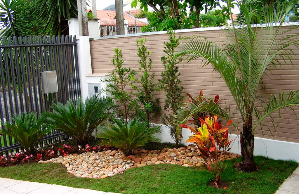 plantas para jardim externo que florescem o ano todo