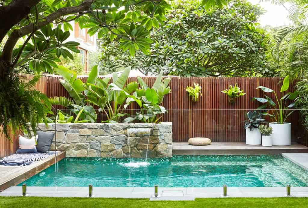 plantas para borda de piscina