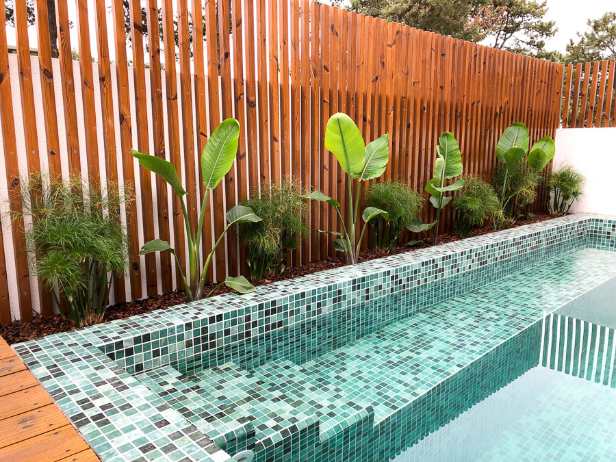 jardim ao redor da piscina
