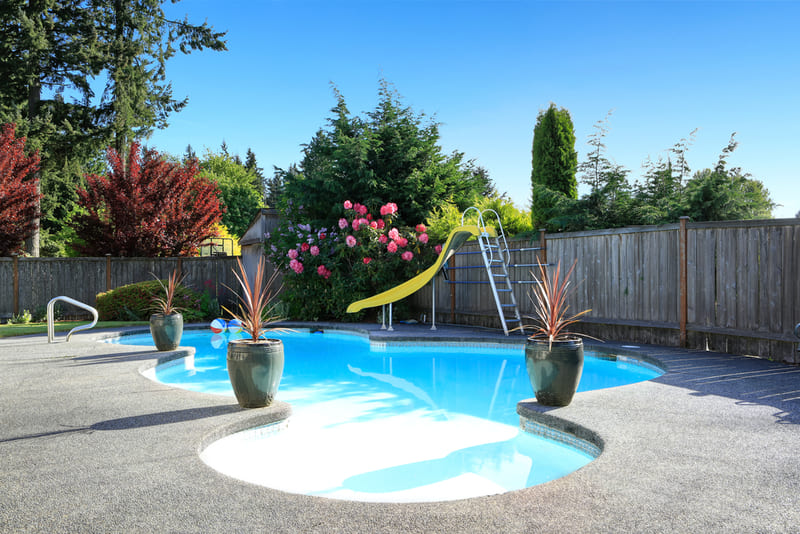 decoração de piscina com plantas